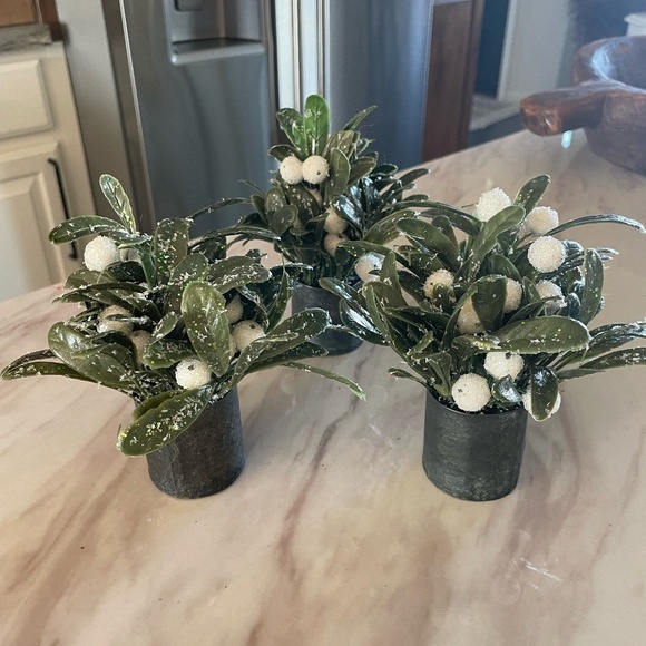 SET OF 3 MINI WINTER BERRY ARRANGEMENTS - Picture 6 of 8